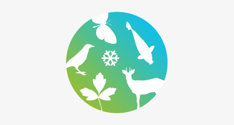 Green Earth Facts - Christmas Is A Coming Card, transparent png download