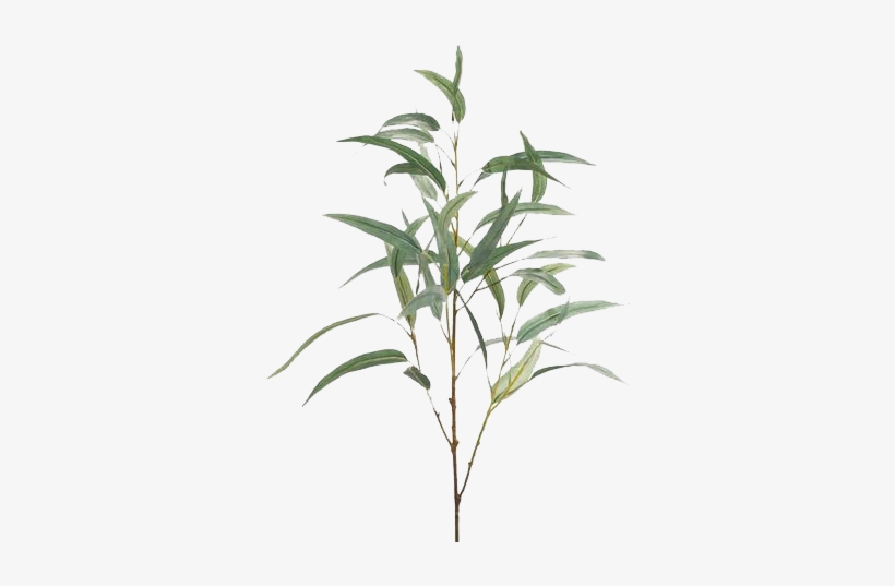 Europalms 79 Cm Aloe Vera Plant, Multi-colour, transparent png download