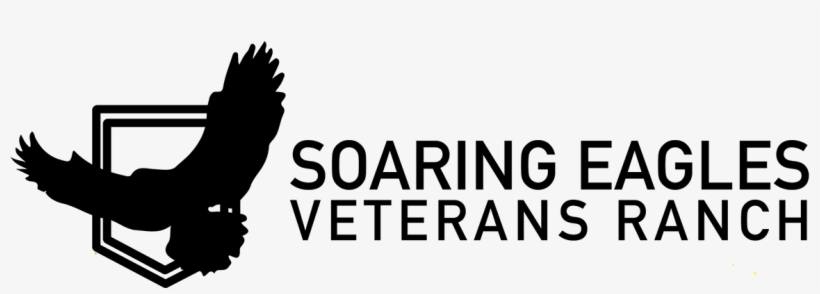 Front Of Brochure - Eagle, transparent png download