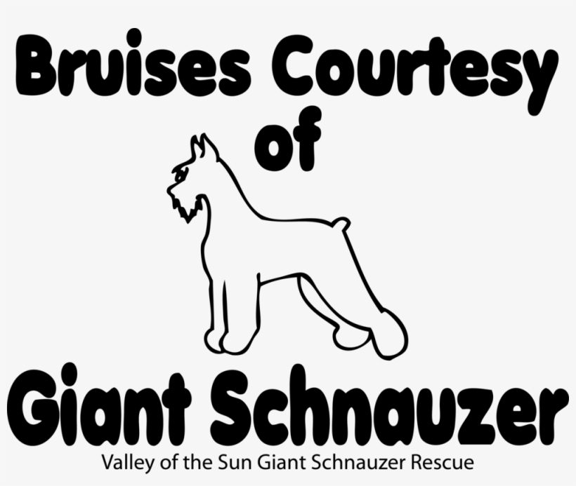 1002 B T Bruises Courtesy Of Gs Full Body White Light, transparent png download