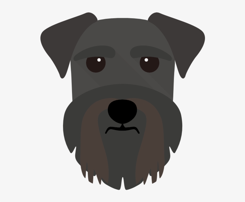 Schnauzer, transparent png download