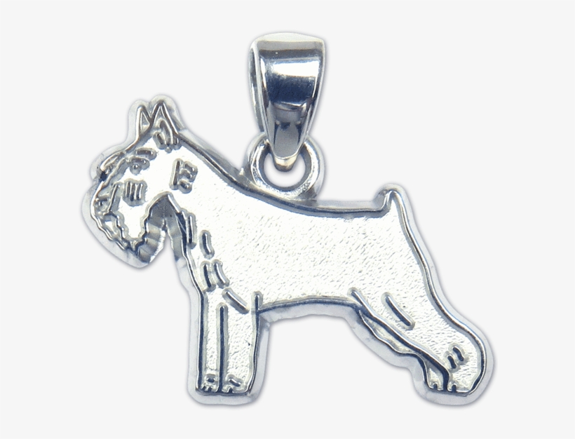 Standard Schnauzer Pendant - Gold, transparent png download