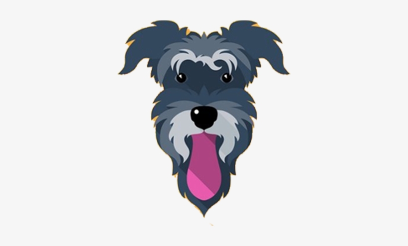 5c - Cute Miniature Schnauzer Dog, transparent png download