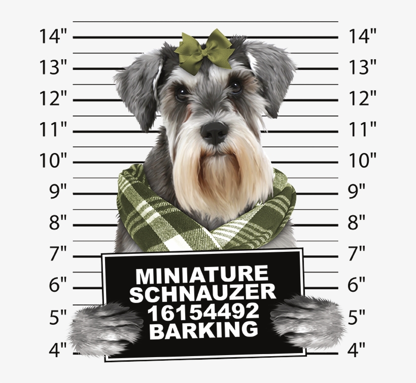 Dachshund Mug Shot Crew Sweatshirt Pick Your Size, transparent png download