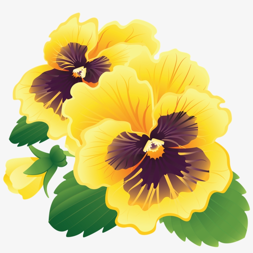 316-3168043_pansy-clipart-transparent-transparent-yellow-pansy.png