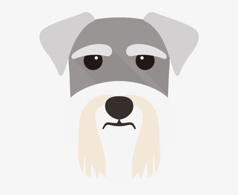 Miniature Schnauzer, transparent png download