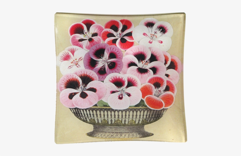 Collection Name - Coin Tray, transparent png download