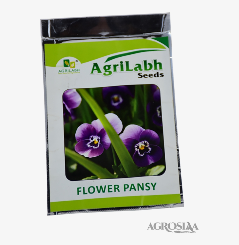 Agrilabh - Pansy, transparent png download
