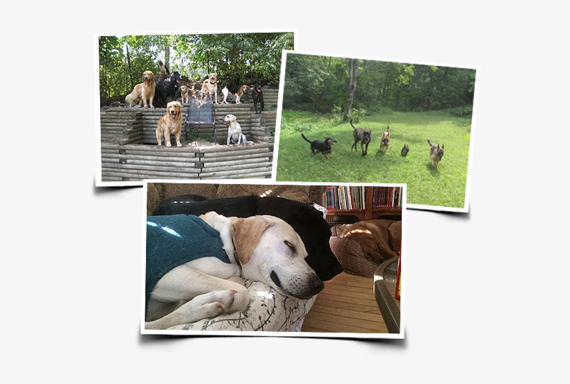 When You Can't Be There Yourself, You Want The Peace - Call Inn, transparent png download