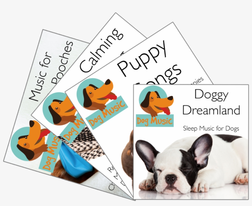 Are You Ready To Cure Your Dog's Anxiety Problems - Dog, transparent png download