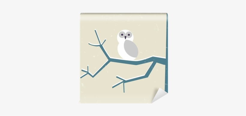 Owl, transparent png download