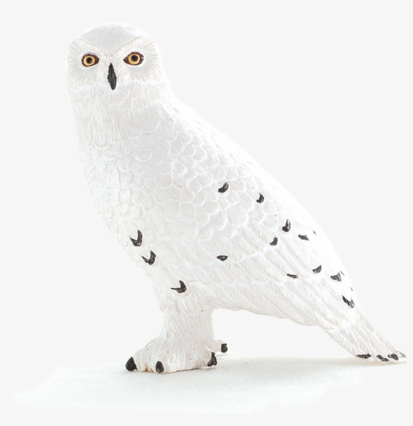 Animal Planet Snowy Owl - Mojo Fun Snowy Owl Figure, transparent png download