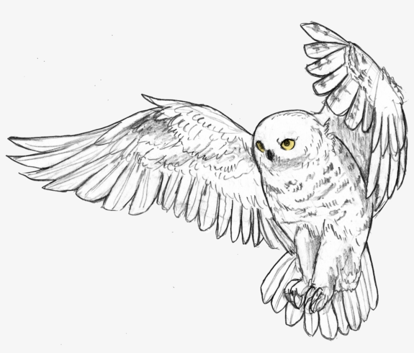 Snowy Owl By Angiemyst-d93hly2 - Coruja Desenho, transparent png download