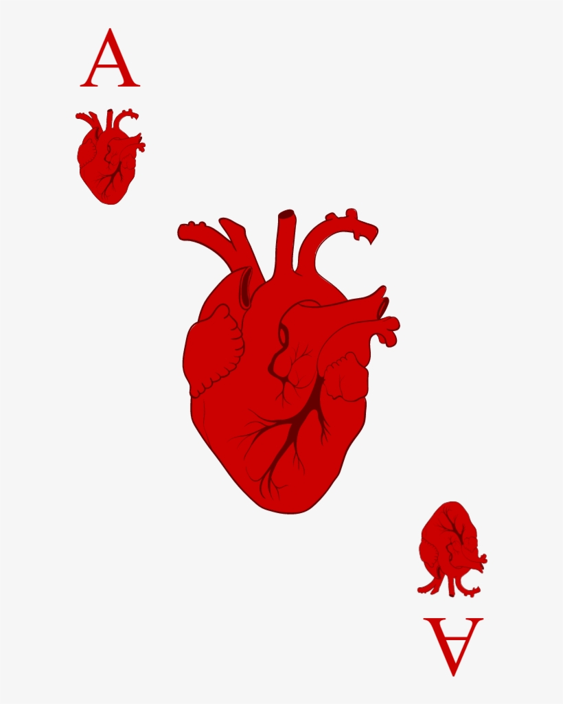 Ace Of Hearts - Drawing, transparent png download