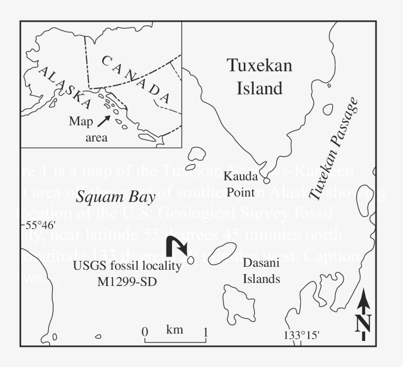 Islet In Tuxekan Narrows-karheen Strait Area, Craig - Diagram, transparent png download