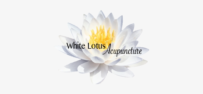 White Flowers For Photoshop, transparent png download