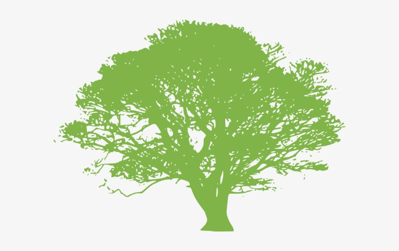 Tree - Tree Silhouette Green, transparent png download