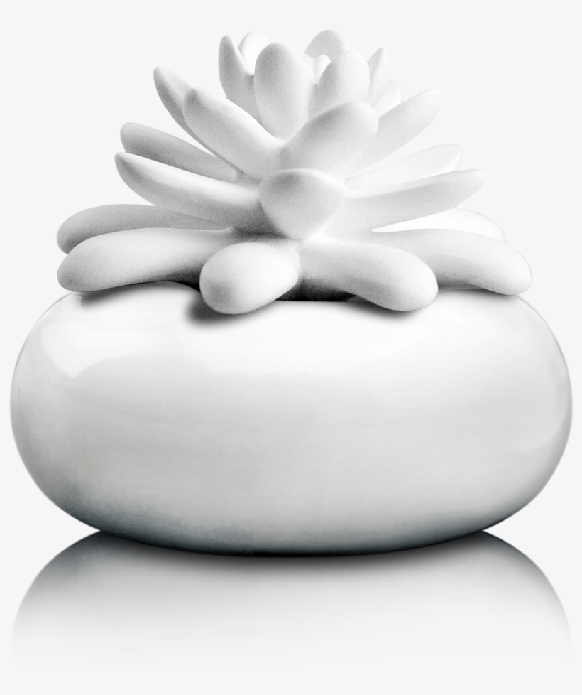 White Lotus - Succulent Diffuser, transparent png download