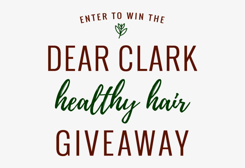 Scroll Down To Enter - Orchabahia Rhea - Box Minimalist And Earrings Removable, transparent png download