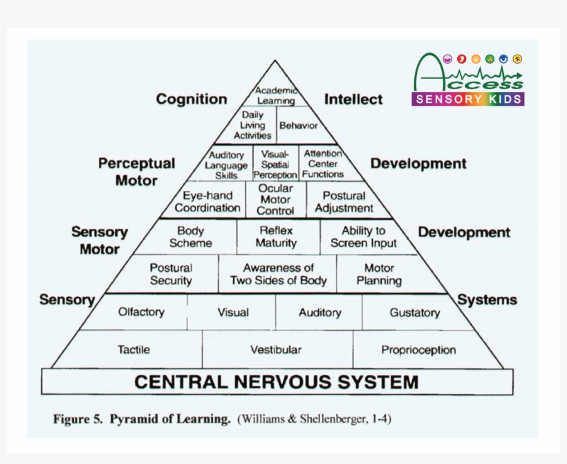 In A Nutshell, Rich Inclusion Means Starting The Creative - Sensory Integration, transparent png download