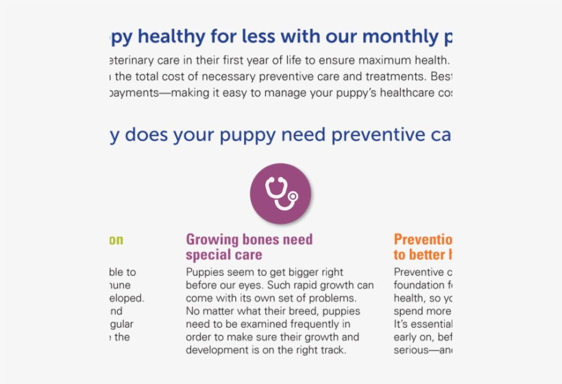 Why Does Your Puppy Need Preventive Care - Society For Family Health, transparent png download