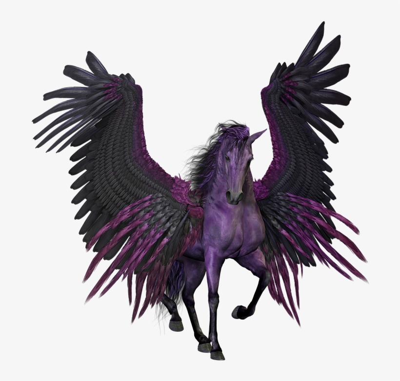 Download Pegasus, Flying, Winged, Horse, Pony, Myth - Real Horse ...