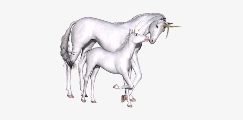 Unicorn, Fantasy, Fairy, Tale, White - Unicornio De Peluche Bebe, transparent png download
