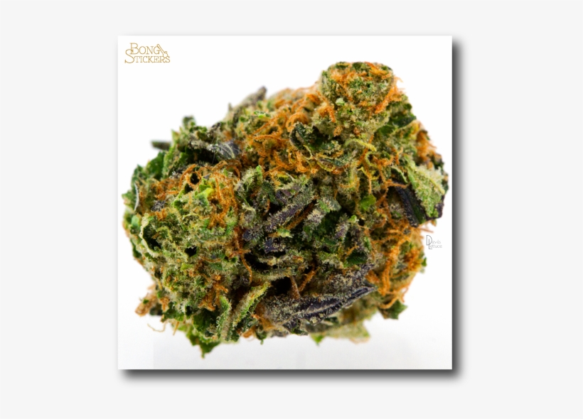 Girl Scout Cookies Weed Sticker - Medical Cannabis, transparent png download