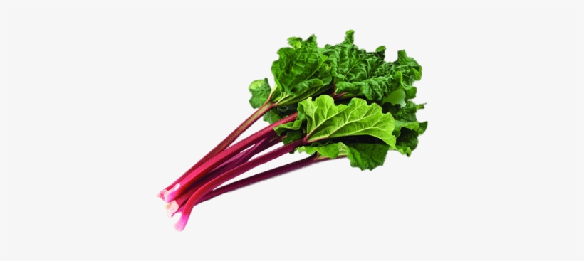 Bundle Of Rhubarb With Leaves 30 Seeds Seeds Rhubarb Original Organic Russian Heirloom Png Image Transparent Png Free Download On Seekpng
