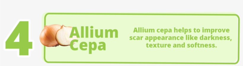 To Effectively Reduce Visibility Of Children's Scars - Graphic Design, transparent png download