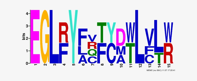 Png Logos Require Convert From Imagemagick - Graphic Design, transparent png download