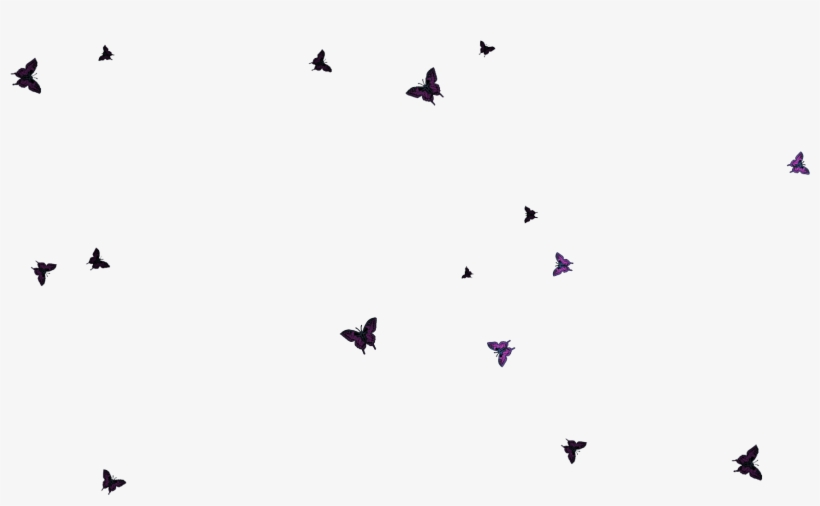 Flock, transparent png download