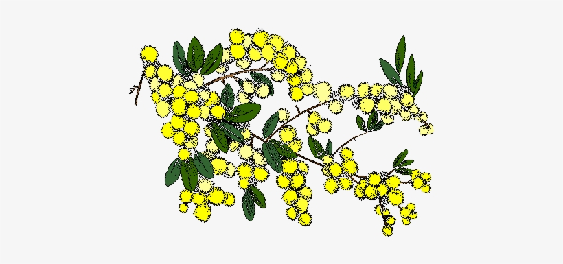 The - Russia And Australia Relations, transparent png download