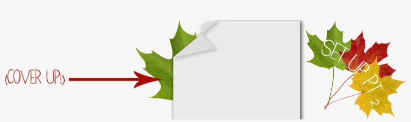 Tape Your Leaf To The Surface Of Your Workspace So, transparent png download