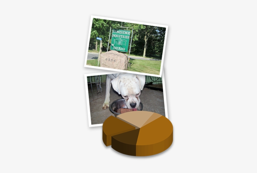 Ingredients - Ingredient, transparent png download