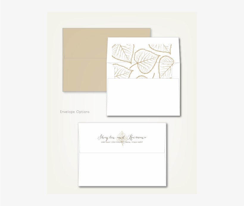 Fall Leaf Web Images5 - Envelope, transparent png download