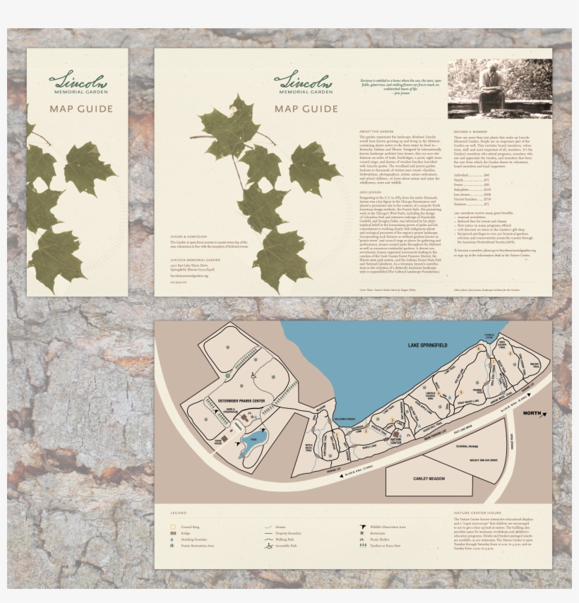 I Created A Plant Guide For Visitors To Use On The - Gambel Oak, transparent png download