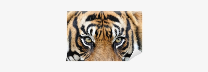 Wildlife Heritage Foundation, transparent png download