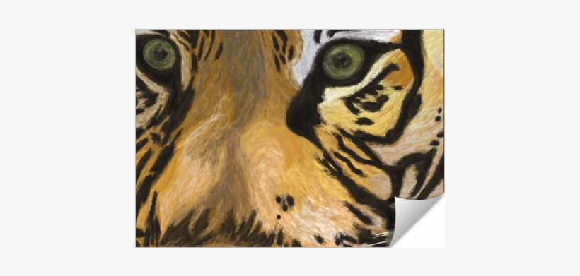 Tiger Eyes - Siberian Tiger, transparent png download