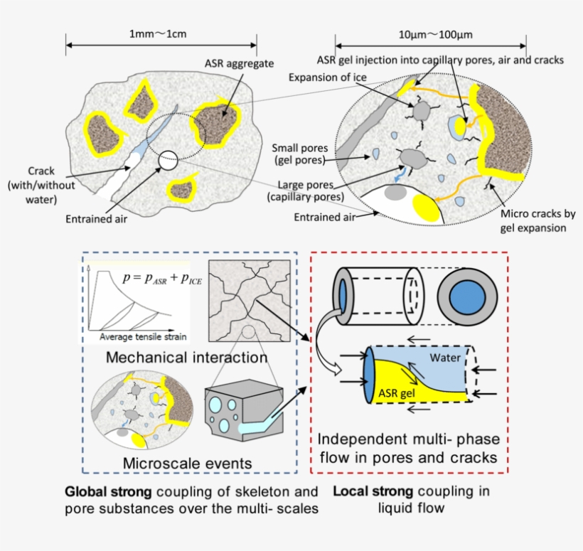 Poro-mechanics Of Asr Gels - Ice, transparent png download