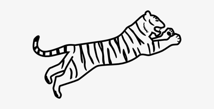 Tiger Black And White Tiger Clipart Black And White - Draw A Bengal Tiger, transparent png download