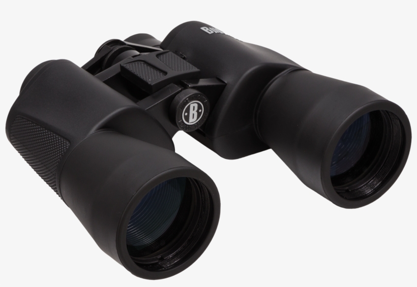 nikon action ex 12x50 cf