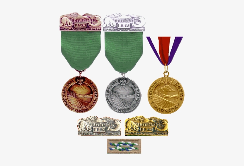 William T Hornaday Badge, transparent png download