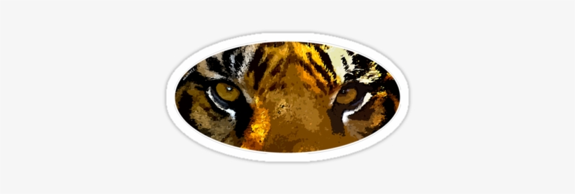 Tiger Eyes Png - Bengal Tiger, transparent png download