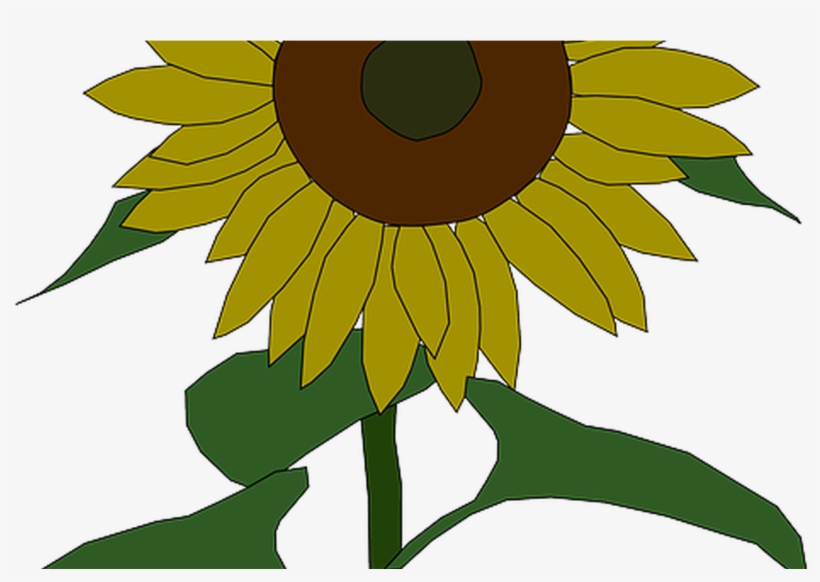 Outline, Yellow, Drawing, Plants, Sun, Flower, Flowers Sunflower Clip