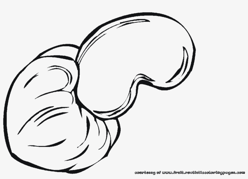 Face Clipart Drawing Cashew Coloring Book Anacardo - Chashew Clipart Black And White T, transparent png download