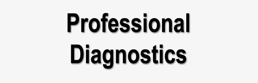 The Check Engine Light Signifies That There Is A Problem - Professional Diversity Network Logo, transparent png download