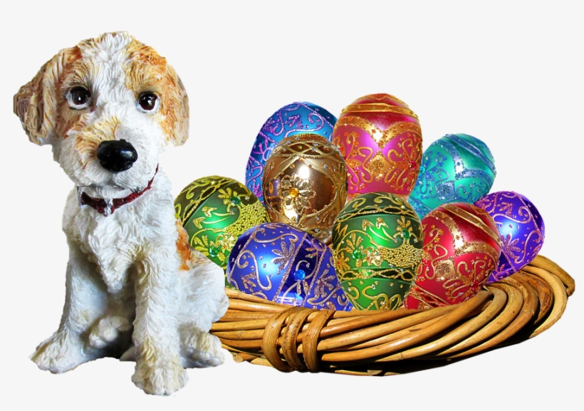 Easter, Dog, Basket, Eggs - Easter, transparent png download