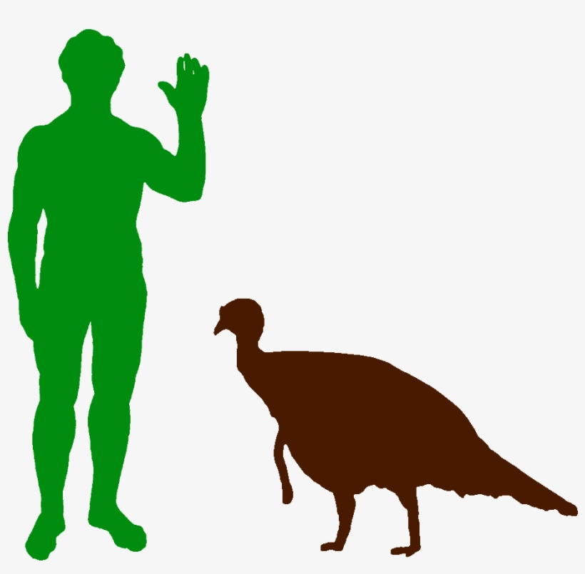 North American Wild Turkey And Human - Dinosaur, transparent png download