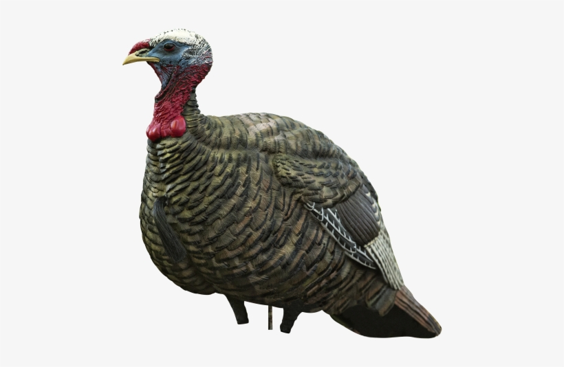 He Can Pair This Jake With A Hen Or Use It By Itself - Avianx Jake Quarter Strut Decoy, Camo By Avian-x, transparent png download